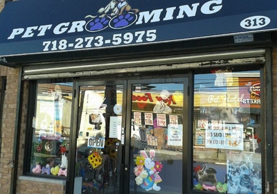 dog salon staten island