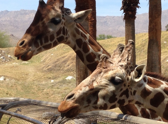 The Living Desert Zoo & Gardens - Palm Desert, CA