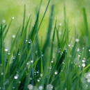 Senske Services - Salt Lake City - Lawn Maintenance