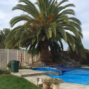 Santiago Tree Service - Escondido, CA