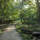 Forest Park Nature Center - Parks