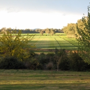 Gallery Image Number 6