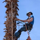 A1 All American Tree Service - Arborists