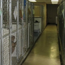 Animal Hospital Of Willow Street - Kennels