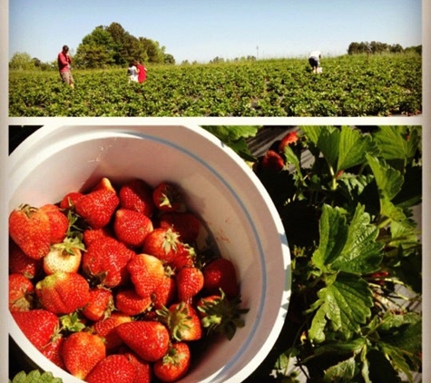 Phillips Farms of Cary - Cary, NC