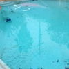 Aeon Blue Pool & Spas gallery