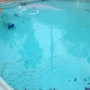 Aeon Blue Pool & Spas