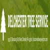 Delchester Tree Service gallery