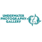 Underwater Photography Gallery