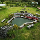Pond Perfections - Ponds & Pond Supplies