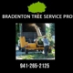 Bradenton Tree Service Pros