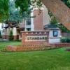 The Standard gallery