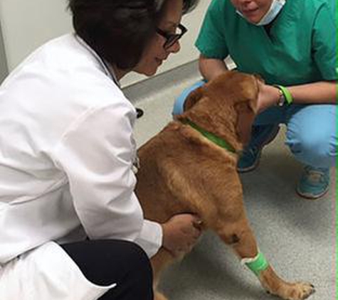 Hammocks Veterinary Hospital - Miami, FL