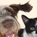 Farmington Animal Hospital - Pet Services