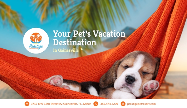 Prestige Pet Resort & Spa - Gainesville, FL