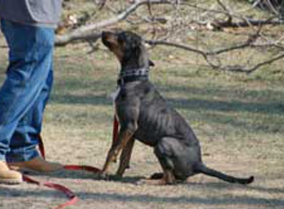 Metropolitan K-9 - Glen Burnie, MD