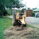 Tree and Stump Soloutions - Stump Removal & Grinding