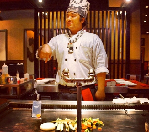 Wasabi Japanese Steak and Sushi - Tampa, FL