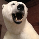 Legends Taxidermy - Taxidermists
