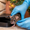 Hitmen Pest Solutions gallery