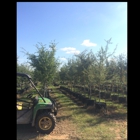 Snider Nursery