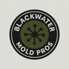 Blackwater Mold Pros gallery