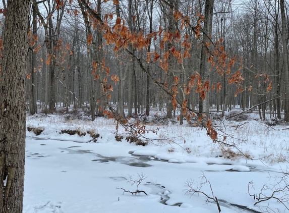 Columbus County Park - Columbus, MI