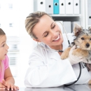 Bay Hills Animal Hospital - Pet Services