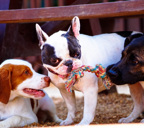 Kennelwood Pet Resort - Saint Louis, MO