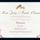 Mint Julep Maids Cleaning Services