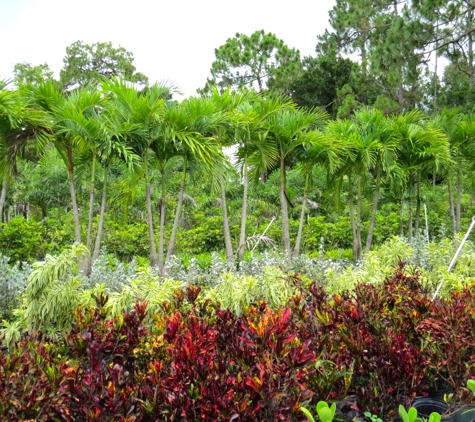 M&L Nursery - Loxahatchee, FL