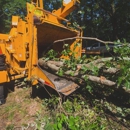 Pensacola Tree Service LLC - Tree Service
