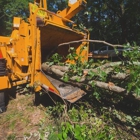 Pensacola Tree Service LLC