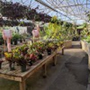 Bath Garden Ctr - Garden Centers