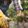 Marbin's Tree & Landscape Service INC gallery