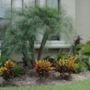 B & G Landscaping & Lawn Care - Landscaping & Lawn Services