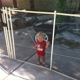 Baby Guard Pool Fence Company