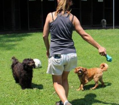 Pets Park Kennels - Sancrox, NSW