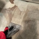 My Carpet Cleaning - Carpet & Rug Cleaners