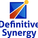 Definitive Synergy - Computer Software & Services