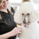 PJ Noah PetSalon - Costa Mesa - Pet Grooming