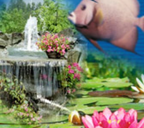 Aquarium & Pond Care