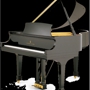 Woodville Piano Tuning & Repair