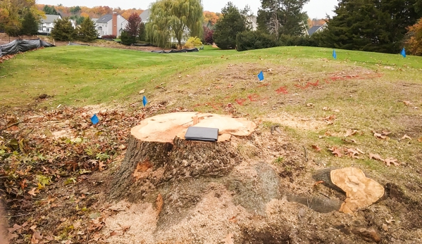 C & E Stump Removal Svc - Bozrah, CT