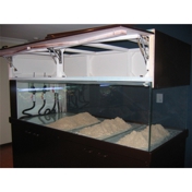 Gallery Image Number 2