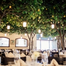 La Jolla Groves - American Restaurants