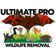 Ultimate Pro Wildlife Removal