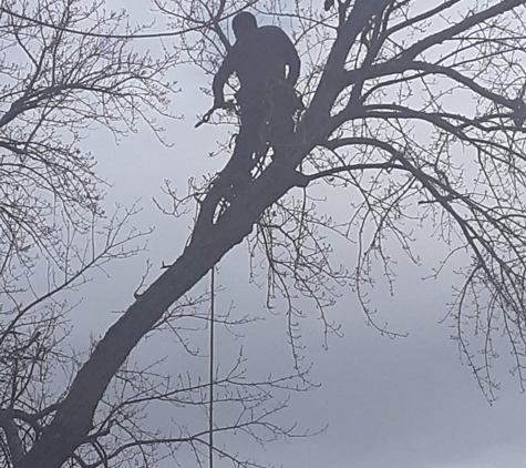 D & A Tip Top Tree Service - Waverly, TN