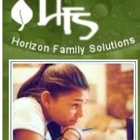 Horizon Family Solutions