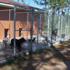 Skyline Kennels